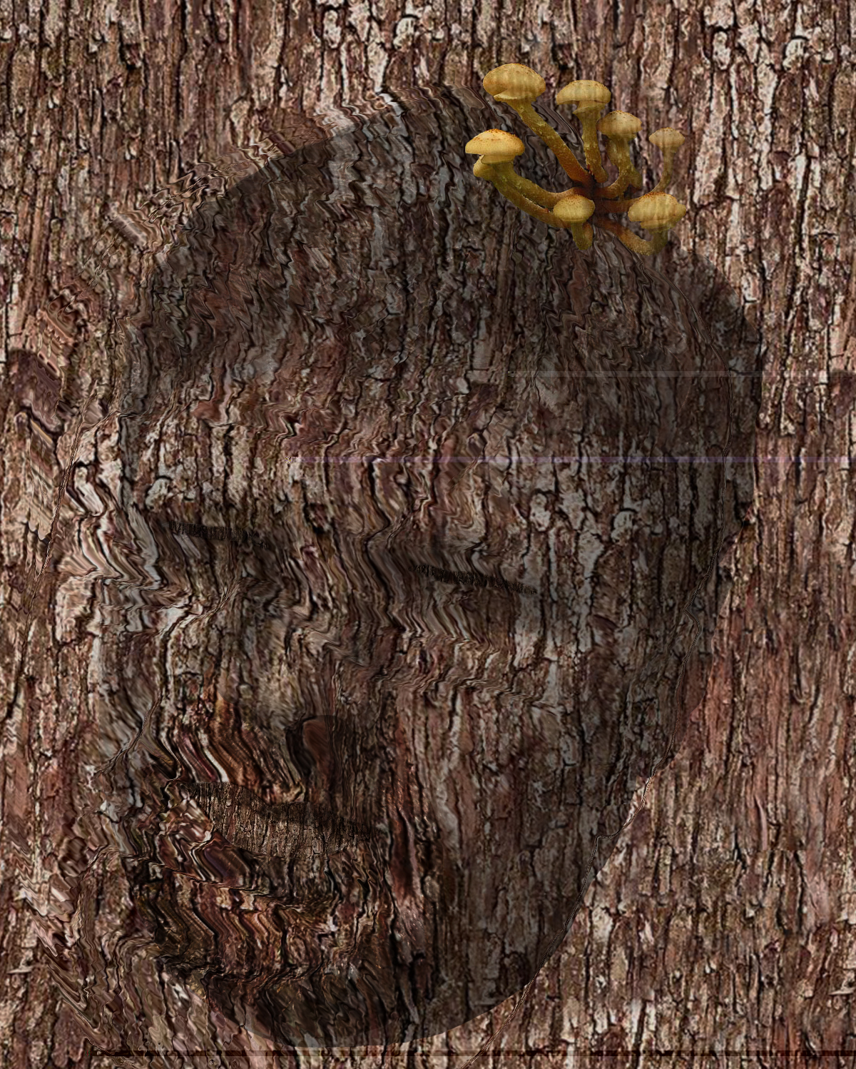 Черепа
.@ снова