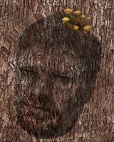 Черепа
.@ снова